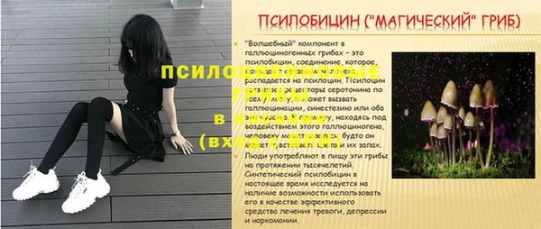 таблы Белокуриха